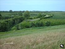 Groen landschap