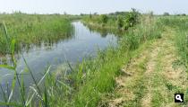 Kleine Gelderse Waard