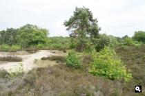 Landgoed Lievensberg