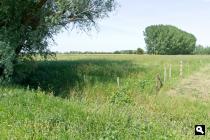 Hurwenense uiterwaarden