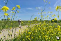 Hurwenense uiterwaarden