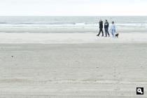 Groene Wissel Hoek van Holland-Haven