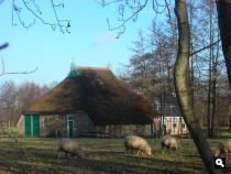 Het Paradyske