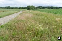 Hoogveld