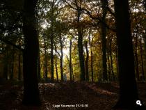 Herfstkleuren DeVuursche 2
