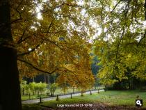 Herfstkleuren De Vuursche 3