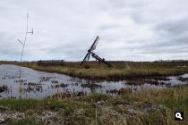 Oude natuur