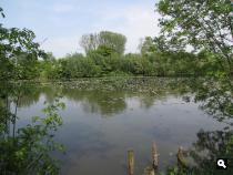 Groene Wissel Breukelen