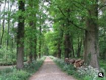 Groene Wissel Breukelen