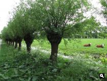 Groene Wissel Breukelen