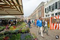 Zaadmarkt