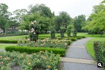 Park Plantage