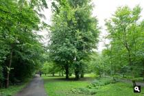 Volkspark