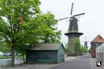Molens De Vrijheid en De Noord