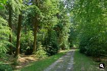Valtherbos