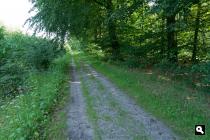 Landweg langs grafheuvels