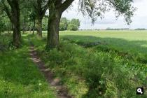 Langs de Assche wetering