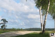 Pad naar het Blauwe Bos