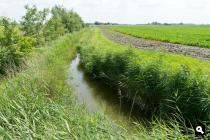 Eppenhuistermaar