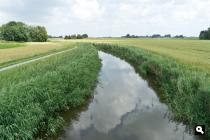 Meedstermaar