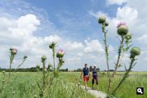 Eppenhuistermaarpad