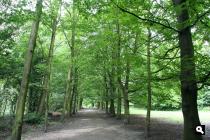 Groene Wissel Schiedam