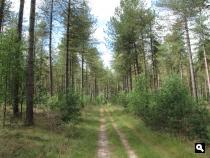 Groene Wissel Amersfoort