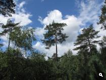Groene Wissel Amersfoort