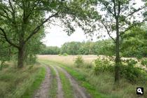 Groote Heide