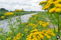 De Groote Wetering