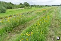 Langs de Groote Wetering