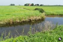 Polder Workumermeer