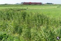 Monnikeburenpolder