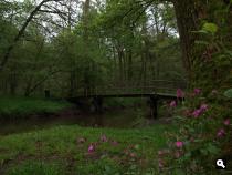 de Leubeek
