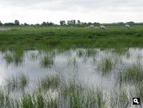 Groene Wissel Schagen