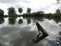 Groene Wissel Schagen
