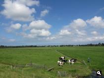 Groene Wissel Schagen