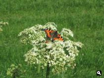 Groene Wissel Schagen