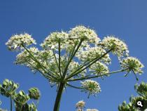 Groene Wissel Schagen