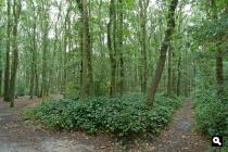 Zevenhuttenbos