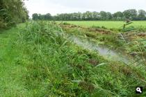 Laarakkerse wetering