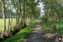 Groene Wissels Groene Wissels