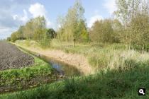 De Noorderriet
