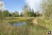 De Noorderriet
