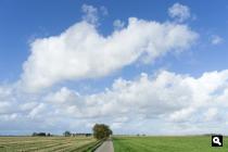 Uiterdijk