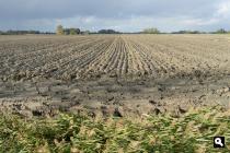Polder de Juursemakluft