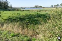 Polder Rohel