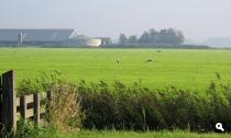 Langs vogelweides