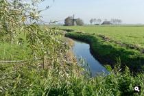 Poelvaart met molen