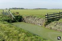 Dronrijper zuiderpolder